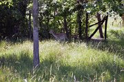 2019-06 01 (16)